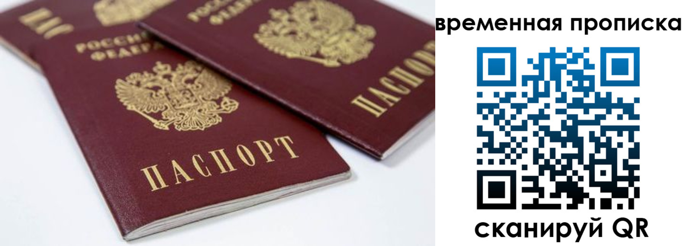 прописка для школы в Псковской области